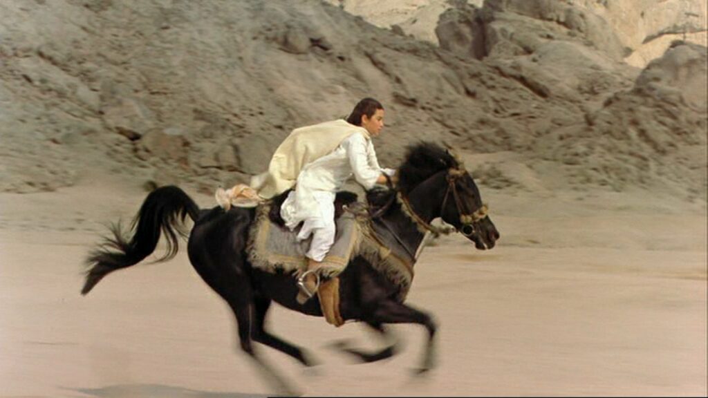 Рожденный в песках